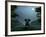 Elephant and Dog Meditate at Summer Night-Mike_Kiev-Framed Photographic Print