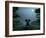 Elephant and Dog Meditate at Summer Night-Mike_Kiev-Framed Photographic Print