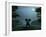 Elephant and Dog Meditate at Summer Night-Mike_Kiev-Framed Photographic Print