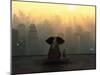 Elephant and Dog Sit on the Roof of a Skyscraper-Mike_Kiev-Mounted Photographic Print