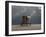 Elephant And Dog Sit Under The Rain-Mike_Kiev-Framed Photographic Print