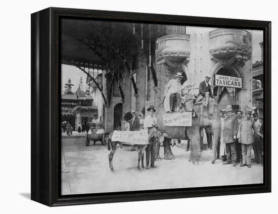 Elephant and Donkey in Luna Park-null-Framed Stretched Canvas