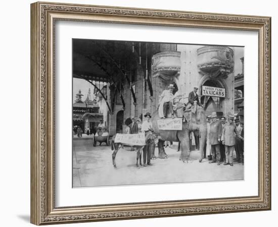 Elephant and Donkey in Luna Park-null-Framed Photo