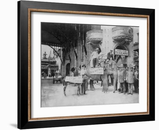 Elephant and Donkey in Luna Park-null-Framed Photo