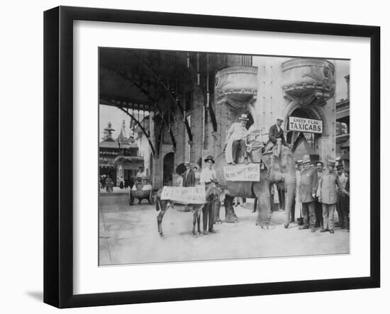 Elephant and Donkey in Luna Park-null-Framed Photo