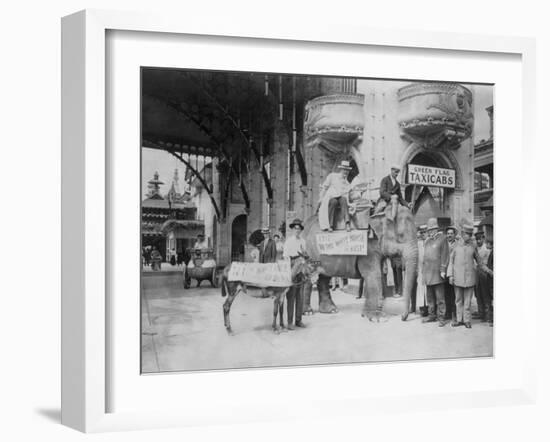 Elephant and Donkey in Luna Park-null-Framed Photo