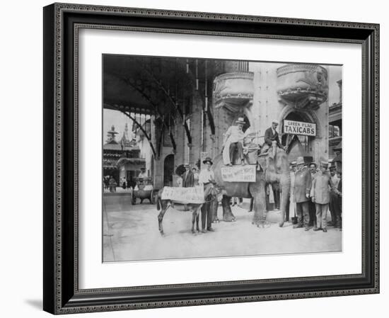 Elephant and Donkey in Luna Park-null-Framed Photo