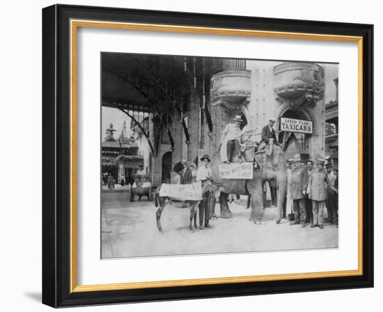 Elephant and Donkey in Luna Park-null-Framed Photo