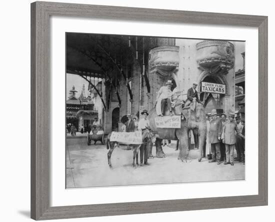 Elephant and Donkey in Luna Park-null-Framed Photo