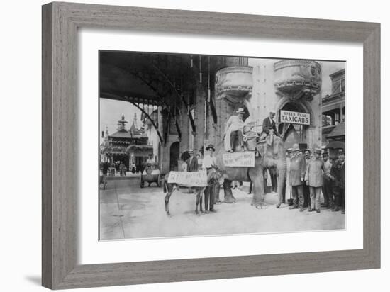 Elephant and Donkey in Luna Park-null-Framed Art Print