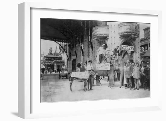 Elephant and Donkey in Luna Park-null-Framed Art Print