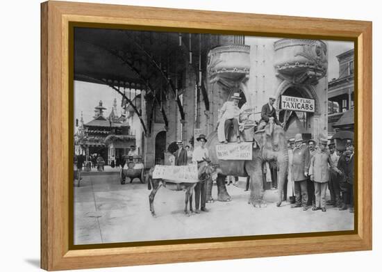 Elephant and Donkey in Luna Park-null-Framed Stretched Canvas