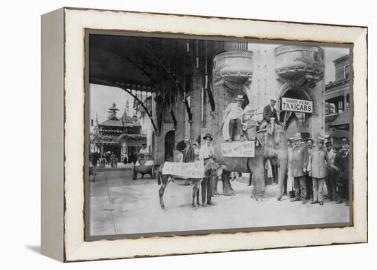 Elephant and Donkey in Luna Park-null-Framed Stretched Canvas