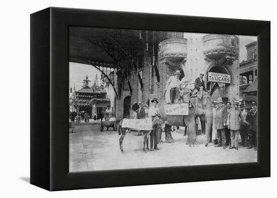 Elephant and Donkey in Luna Park-null-Framed Stretched Canvas