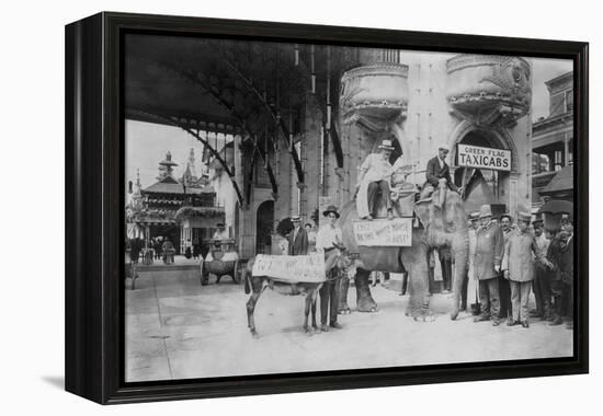 Elephant and Donkey in Luna Park-null-Framed Stretched Canvas