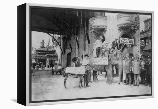 Elephant and Donkey in Luna Park-null-Framed Stretched Canvas