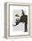 Elephant and Penguin-Fab Funky-Framed Stretched Canvas