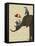 Elephant and Penguins-Fab Funky-Framed Stretched Canvas