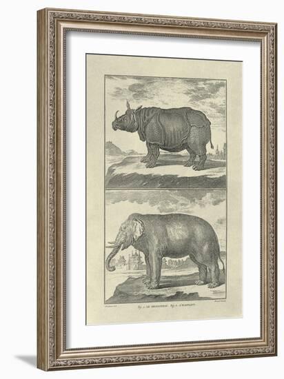 Elephant and Rhino-Denis Diderot-Framed Art Print