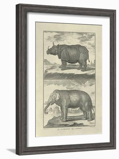 Elephant and Rhino-Denis Diderot-Framed Art Print