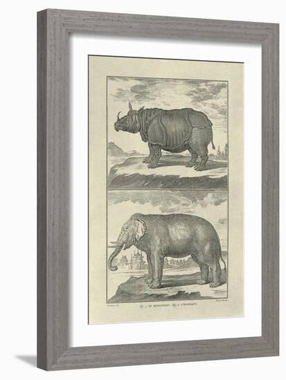 Elephant and Rhino-Denis Diderot-Framed Art Print