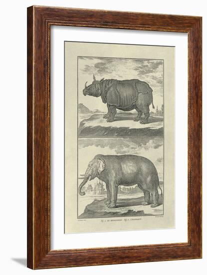 Elephant and Rhino-Denis Diderot-Framed Art Print