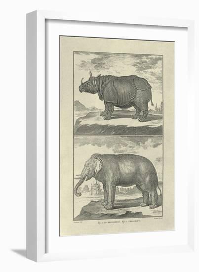 Elephant and Rhino-Denis Diderot-Framed Art Print