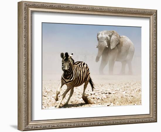 Elephant and Zebra, Etosha, 2018-Eric Meyer-Framed Photographic Print