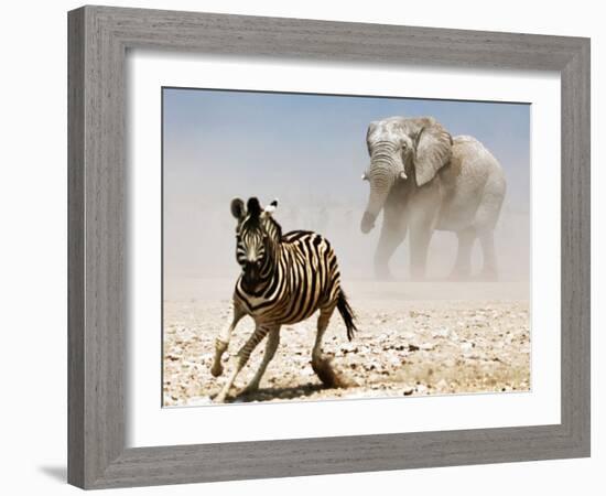 Elephant and Zebra, Etosha, 2018-Eric Meyer-Framed Photographic Print