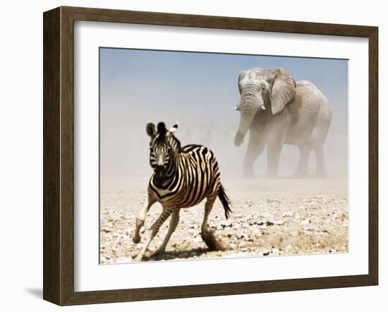 Elephant and Zebra, Etosha, 2018-Eric Meyer-Framed Photographic Print