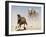 Elephant and Zebra, Etosha, 2018-Eric Meyer-Framed Photographic Print