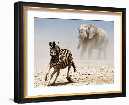 Elephant and Zebra, Etosha, 2018-Eric Meyer-Framed Photographic Print