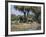 Elephant and Zebras at the Khwai River, Moremi Wildlife Reserve, Botswana, Africa-Thorsten Milse-Framed Photographic Print