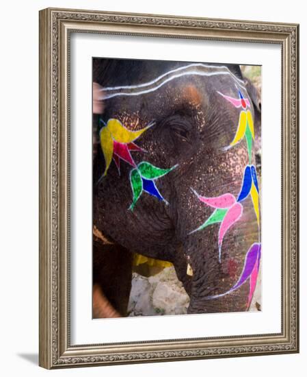 Elephant at Amber Fort, Rajasthan, Jaipur, India-Bill Bachmann-Framed Photographic Print