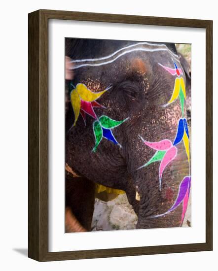 Elephant at Amber Fort, Rajasthan, Jaipur, India-Bill Bachmann-Framed Photographic Print