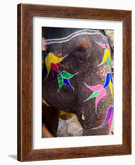 Elephant at Amber Fort, Rajasthan, Jaipur, India-Bill Bachmann-Framed Photographic Print