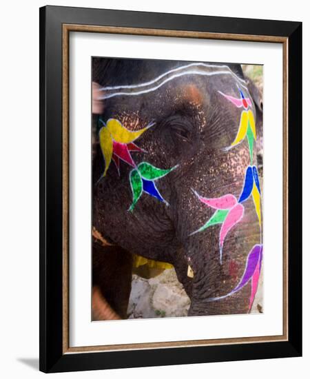 Elephant at Amber Fort, Rajasthan, Jaipur, India-Bill Bachmann-Framed Photographic Print