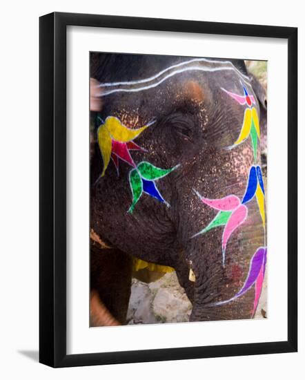 Elephant at Amber Fort, Rajasthan, Jaipur, India-Bill Bachmann-Framed Photographic Print