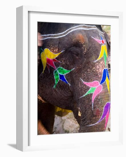 Elephant at Amber Fort, Rajasthan, Jaipur, India-Bill Bachmann-Framed Photographic Print