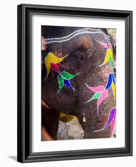 Elephant at Amber Fort, Rajasthan, Jaipur, India-Bill Bachmann-Framed Photographic Print