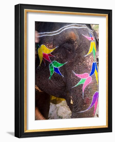 Elephant at Amber Fort, Rajasthan, Jaipur, India-Bill Bachmann-Framed Photographic Print