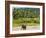 Elephant at Pinnawala Elephant Orphanage, Sri Lanka, Asia-Matthew Williams-Ellis-Framed Photographic Print