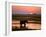 Elephant at Sunset on the Chobe River, Botswana-Nigel Pavitt-Framed Photographic Print