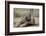 Elephant Baby Lying on Ground-null-Framed Photographic Print