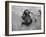 Elephant Belonging to Temple of the Tooth, Getting Mid Day Bath in River-Howard Sochurek-Framed Photographic Print