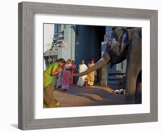 Elephant Benediction, Kamakshi Amman, Kanchipuram, Tamil Nadu, India, Asia-Tuul-Framed Photographic Print