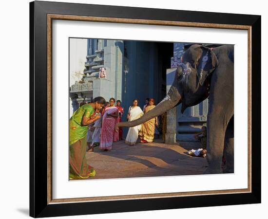 Elephant Benediction, Kamakshi Amman, Kanchipuram, Tamil Nadu, India, Asia-Tuul-Framed Photographic Print