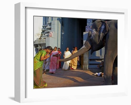 Elephant Benediction, Kamakshi Amman, Kanchipuram, Tamil Nadu, India, Asia-Tuul-Framed Photographic Print