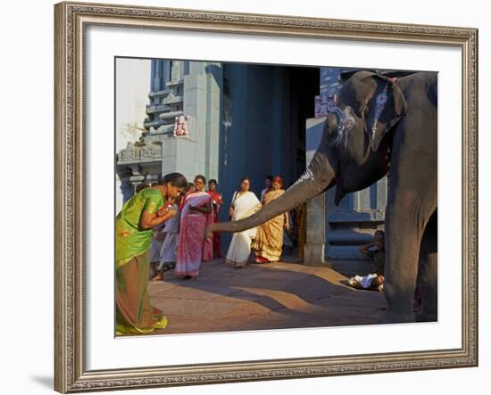 Elephant Benediction, Kamakshi Amman, Kanchipuram, Tamil Nadu, India, Asia-Tuul-Framed Photographic Print