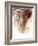 Elephant Bull-Mark Adlington-Framed Giclee Print